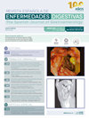 REVISTA ESPANOLA DE ENFERMEDADES DIGESTIVAS雜志封面